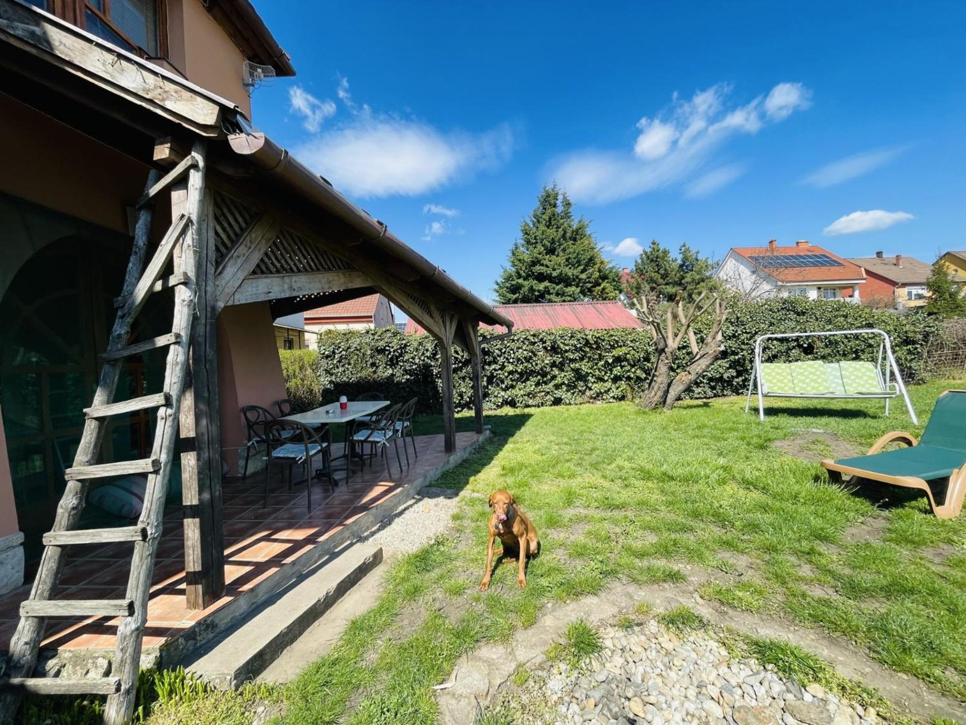Greenpark Garden Villa Family Apartments Near Tokaj Szerencs Extérieur photo